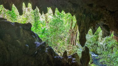 Küba 'daki El Nicho şelalesinin yakınındaki mağaraya bak.