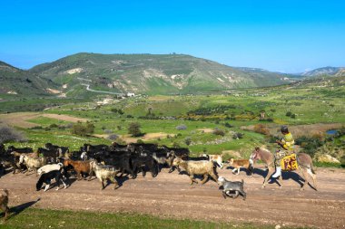 Golan tepelerine ve İsrail, Siria ve Ürdün arasındaki sınıra bak