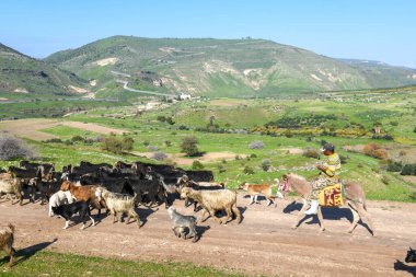 Golan tepelerine ve İsrail, Siria ve Ürdün arasındaki sınıra bak