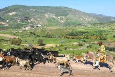 Golan tepelerine ve İsrail, Siria ve Ürdün arasındaki sınıra bak
