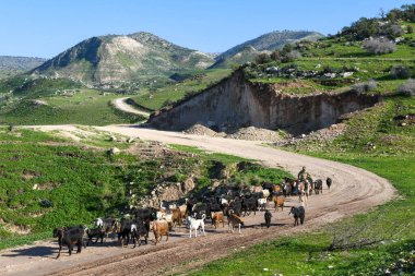 Golan tepelerine ve İsrail, Siria ve Ürdün arasındaki sınıra bak