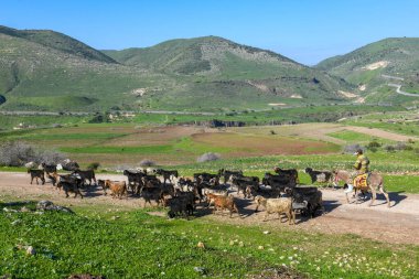 Golan tepelerine ve İsrail, Siria ve Ürdün arasındaki sınıra bak