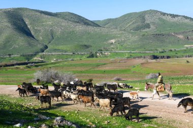 Golan tepelerine ve İsrail, Siria ve Ürdün arasındaki sınıra bak