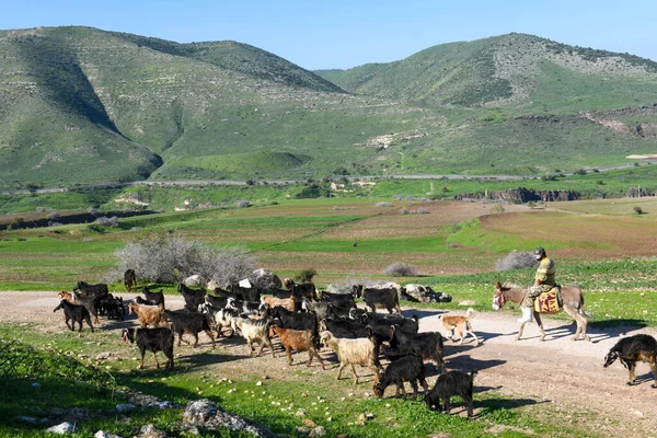 Golan tepelerine ve İsrail, Siria ve Ürdün arasındaki sınıra bak