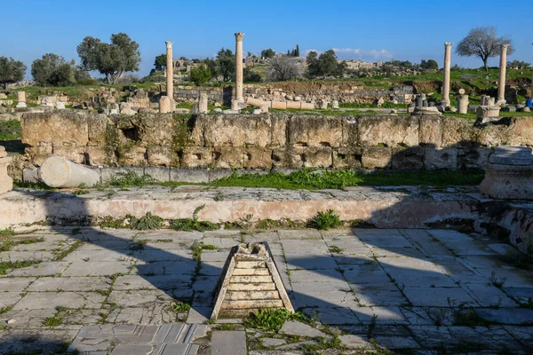 Vista Las Ruinas Romanas Umm Qais Gadara Jordania —  Fotos de Stock