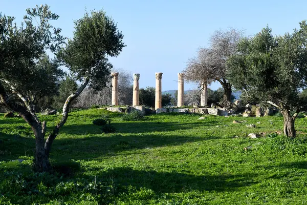 Widok Rzymskie Ruiny Umm Qais Gadara Jordanii — Zdjęcie stockowe