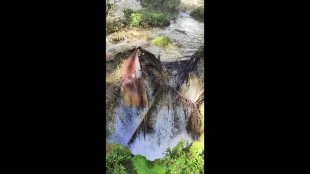 Pohled Vodopády Nicho Trinidadu Kubě — Stock video