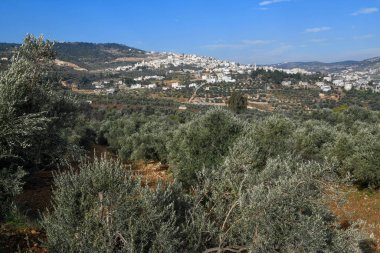 Ürdün 'deki Jerash yakınlarındaki tepelerin manzarası