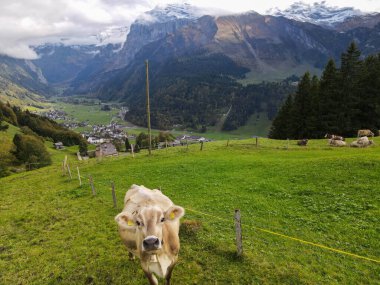 İsviçre Alplerindeki Engelberg vadisinde insansız hava aracı görüntüsü