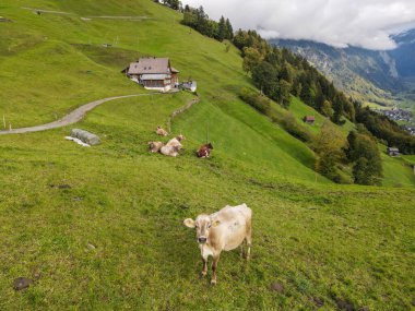 İsviçre Alplerindeki Engelberg vadisinde insansız hava aracı görüntüsü