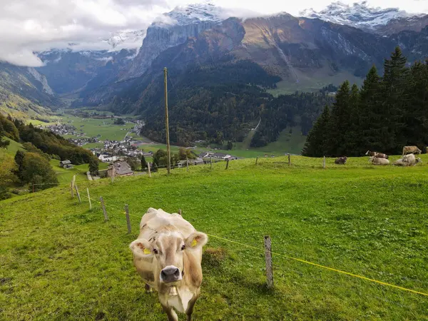 Drónkilátás Engelberg Völgyében Svájci Alpokban Stock Kép
