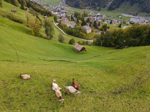 Вид Дрон Долині Енгельберга Швейцарських Альпах Ліцензійні Стокові Зображення