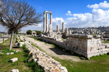 Ürdün 'deki Amman' daki Roma kalesine bakın.