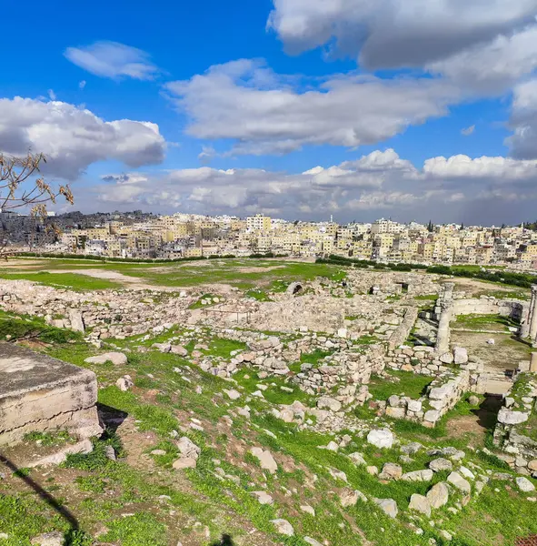 Vue Citadelle Romaine Amman Sur Jordanie Photos De Stock Libres De Droits