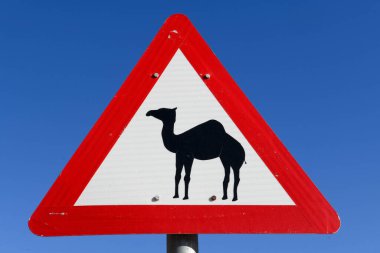 Ürdün 'deki Wadi Rum çölünde deve tabelası.