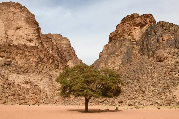 Landschaft Der Wüste Wadi Rum Jordanien lizenzfreie Stockfotos