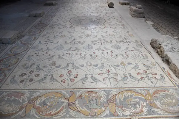 Najstarsza Mozaika Piętrze Kościoła Apostołów Madaba Jordanii Obrazy Stockowe bez tantiem