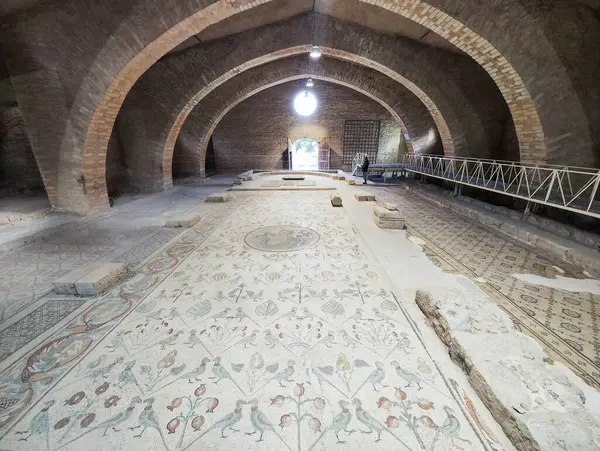Nejstarší Podlahová Mozaika Kostele Apoštolů Madabě Jordánsku Royalty Free Stock Fotografie