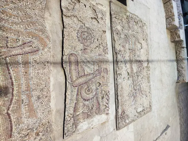 Andar Mais Velho Mosaico Igreja Dos Apóstolos Madaba Jordânia Fotos De Bancos De Imagens