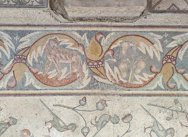 Najstarsza Mozaika Piętrze Kościoła Apostołów Madaba Jordanii Obrazek Stockowy