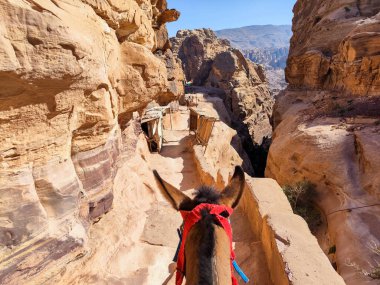 Ürdün 'deki Petra manastırına giden yol.