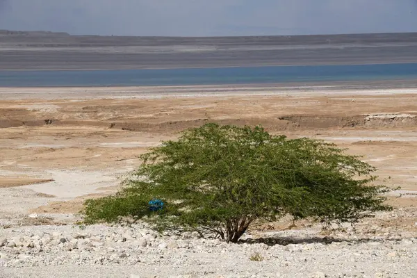 Krajobraz Nad Morzem Martwym Nad Jordanią Zdjęcie Stockowe