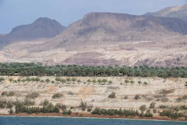Landskap Vid Döda Havet Jordanien Royaltyfria Stockbilder