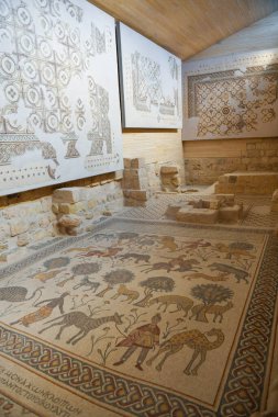 Ürdün 'deki Nebo Dağı' ndaki kilisenin en eski katındaki mozaik.