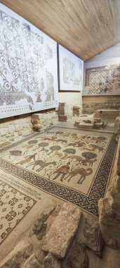 Ürdün 'deki Nebo Dağı' ndaki kilisenin en eski katındaki mozaik.