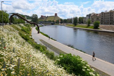 Vilnius, Litvanya - 2 Haziran 2024: Litvanya 'nın merkezindeki Niris nehri manzarası
