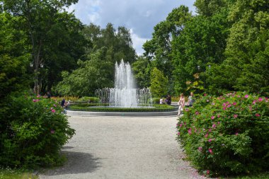 Vilnius, Litvanya - 2 Haziran 2024: Litvanya 'daki Vilnius' un Bernardine bahçesi