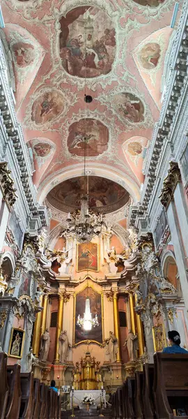 Vilnius, Litvanya - 1 Haziran 2024: Litvanya 'daki Vilnius' taki Aziz Teresa Kilisesi