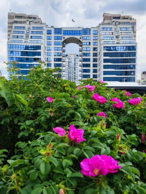 Minsk, Belarus - 27 Mayıs 2024: Belarus 'taki Minsk binası