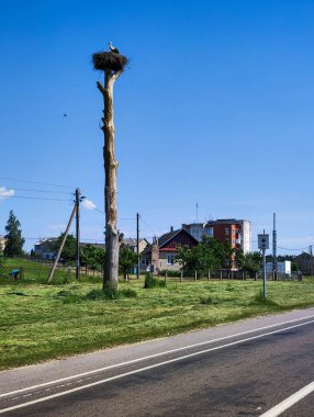 Leylek yuvası ve radar Belarus kırsalında hız kontrolü