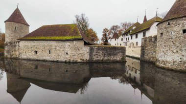 View of Hallwyl castle at Seengen on Switzerland clipart