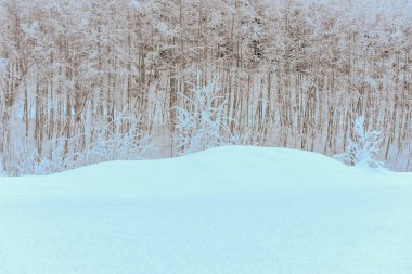 İsviçre Alplerindeki Engelberg 'de dondurucu kış manzarası