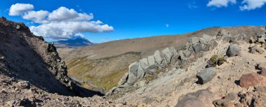 Yeni Zelanda 'daki Tongariro Milli Parkı' nın dağlarına bakın.