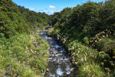 Yeni Zelanda 'daki Tongariro Ulusal Parkı' nın Whakapanui nehri manzarası
