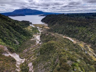 Waimangu Volkanik Vadisi Ulusal Parkı Yeni Zelanda
