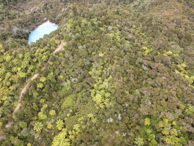 Waimangu Volkanik Vadisi Ulusal Parkı Yeni Zelanda