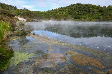 Waimangu Volkanik Vadisi Ulusal Parkı Yeni Zelanda