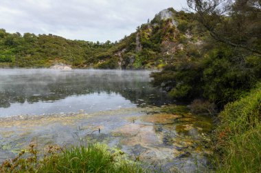 Waimangu Volkanik Vadisi Ulusal Parkı Yeni Zelanda