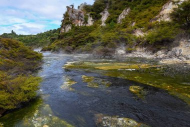 Waimangu Volkanik Vadisi Ulusal Parkı Yeni Zelanda