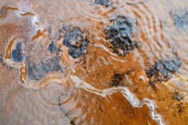 Yeni Zelanda 'daki Waimangu Volkanik Vadisi Ulusal Parkı' nda ayrıntı