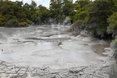 Waimangu Volkanik Vadisi Ulusal Parkı Yeni Zelanda