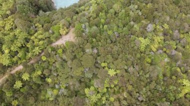 Yeni Zelanda 'daki Waimangu Volkanik Vadisi Ulusal Parkı' nın Inferno Krateri 'nde insansız hava aracı görüntüsü