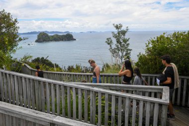 Katedral Koyu plajı, Yeni Zelanda - 18 Ocak 2025: Yeni Zelanda 'daki Katedral Koyu plajına giden yolu izleyin