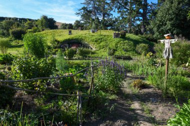 Yeni Zelanda 'daki Hobbiton filminin peyzajı