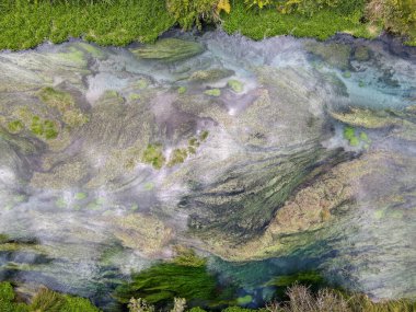 Yeni Zelanda 'daki Mavi Bahar Nehri (Te Waihou Yürüyüşü) insansız hava aracı görüntüsü
