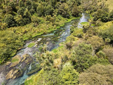 Yeni Zelanda 'daki Mavi Bahar Nehri (Te Waihou Yürüyüşü) insansız hava aracı görüntüsü